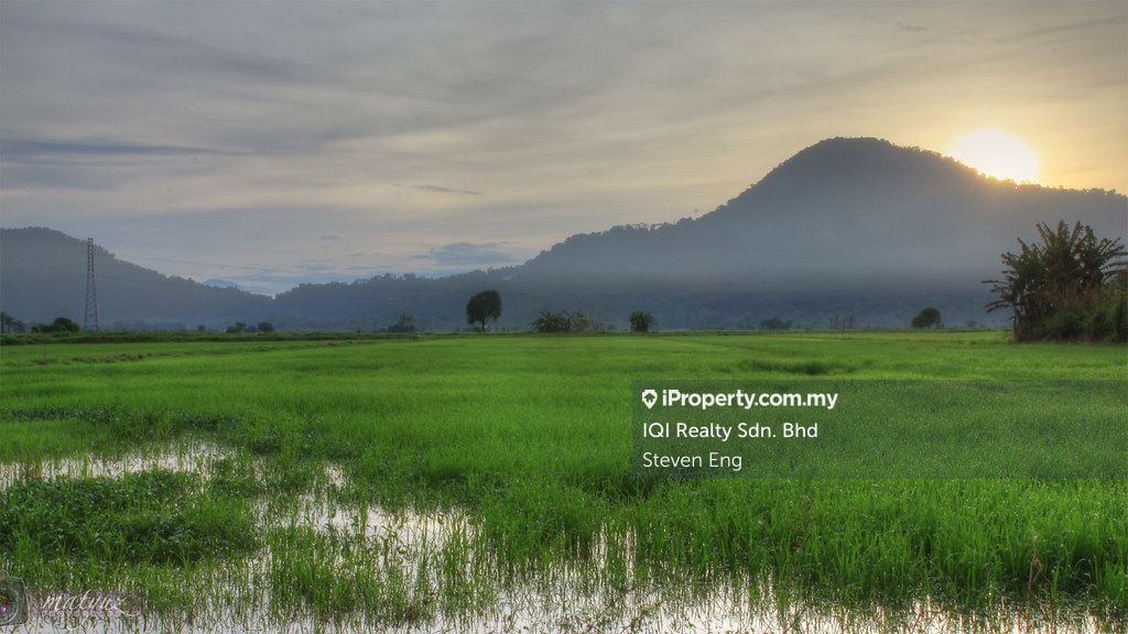 Kerian Simpang Empat Gunung Semanggol, Semanggol Agricultural Land for ...