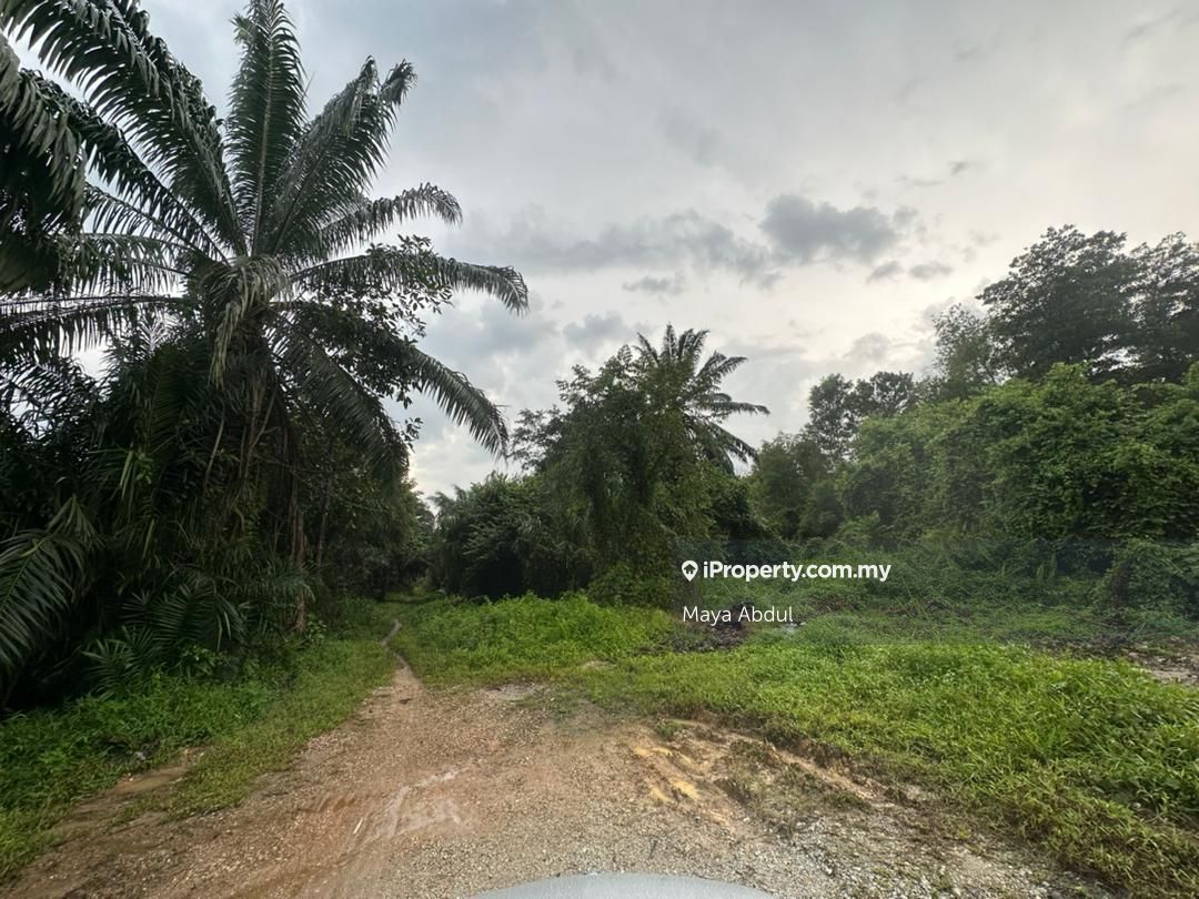 Agricultural Land, Kg Budiman Meru Klang, Meru , Klang for sale ...