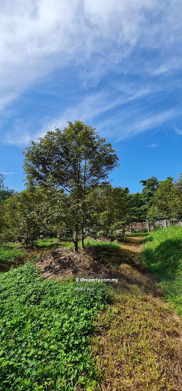 Perak, Tanjung Malim, Slim River, Tanjung Malim Agricultural Land for sale