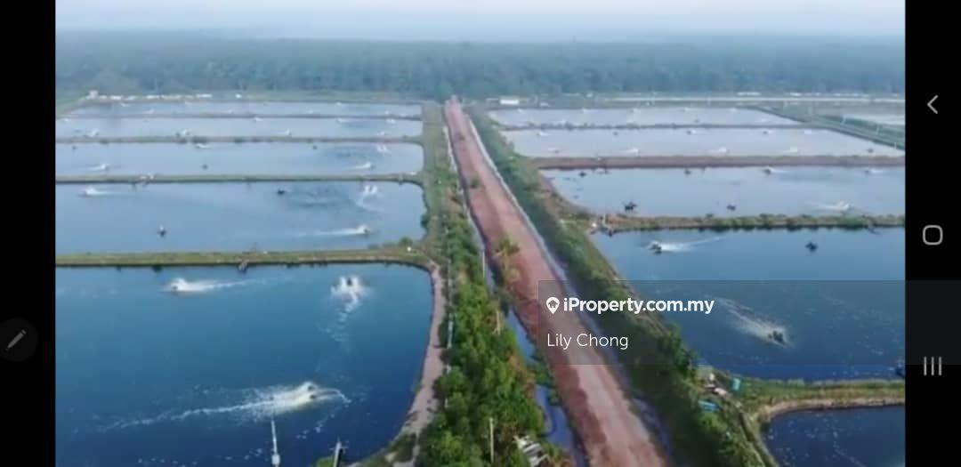 Klang Pulau Carey Fish Farm, Klang Pulau Carey Fish Farm, Klang for