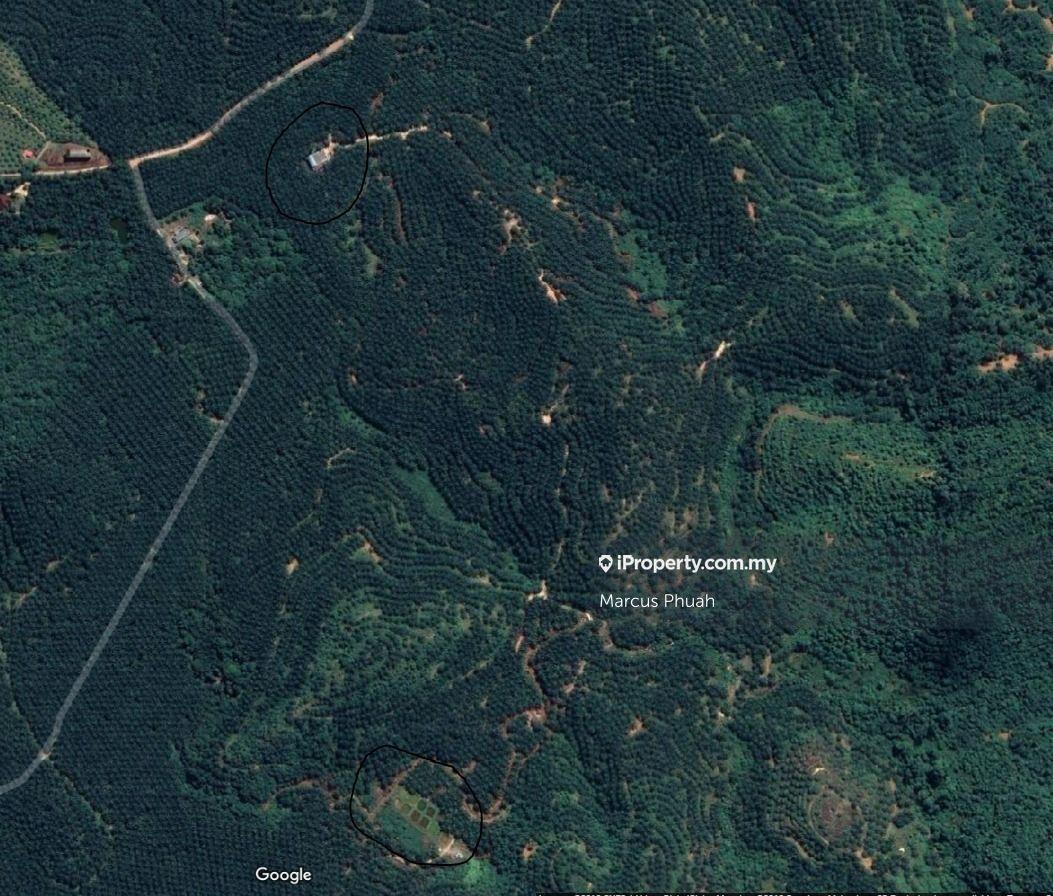 Agricultural Land for sale at Palm oil plantation at Kulim RM