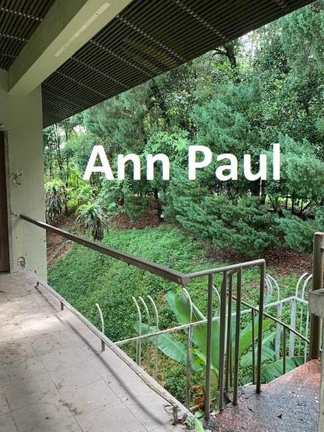 Tijani 1 Bukit Tunku Bungalow Bukit Tunku Kenny Hills Bungalow Land For Sale Iproperty Com My