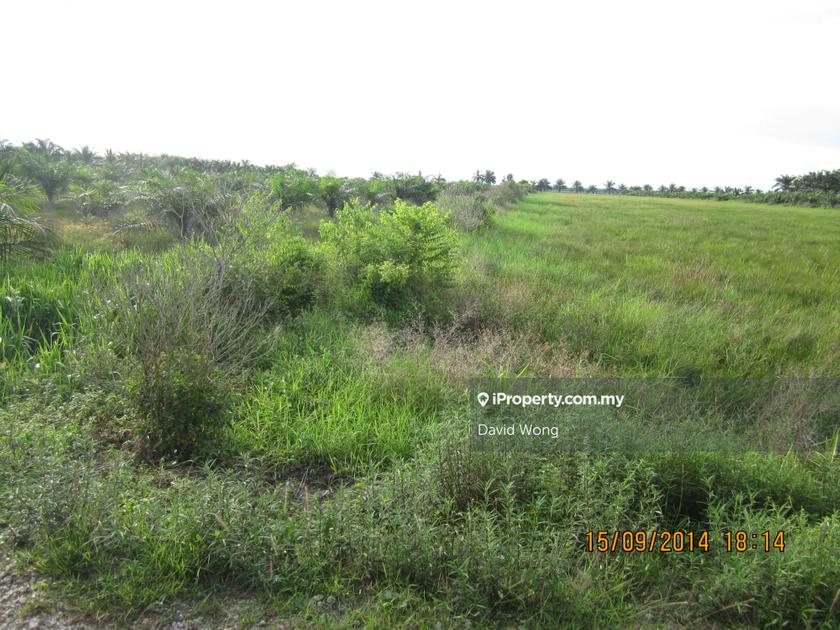 Bagan Serai Agricultural Land for rent