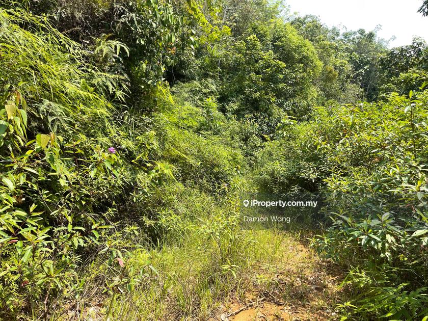 Leased land in Fraser Hill, Tras, Fraserl Hill, Raub Agricultural Land
