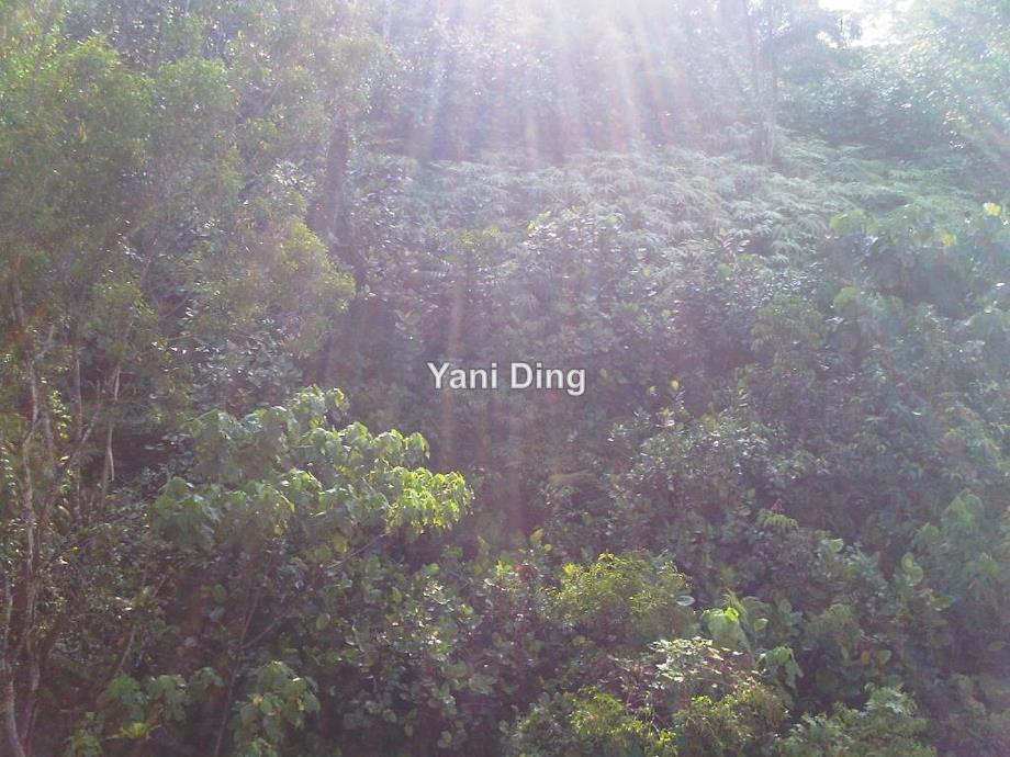 Bungalow House for Sale in Medan Damansara, Damansara Heights by Yani Ding - iProperty.com.my