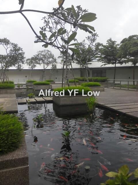 Apartment for Rent in Molek Pine 3 by Alfred Yf Low - iProperty.com.my