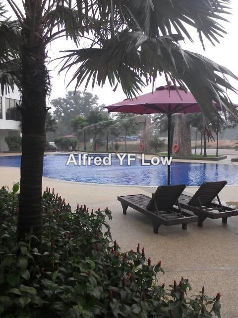 Apartment for Rent in Molek Pine 4 by Alfred Yf Low - iProperty.com.my