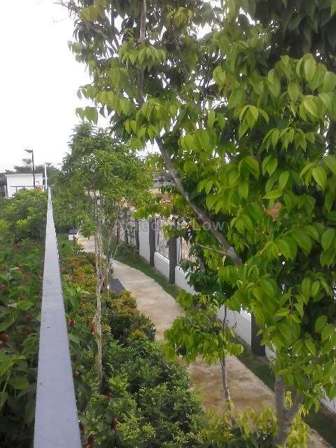 Apartment for Rent in Ponderosa Lakeside Apartment by Alfred Yf Low - iProperty.com.my