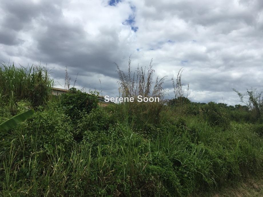 Tanah Pertanian untuk Dijual di Semenyih, Selangor oleh Serene Soon - iProperty.com.my