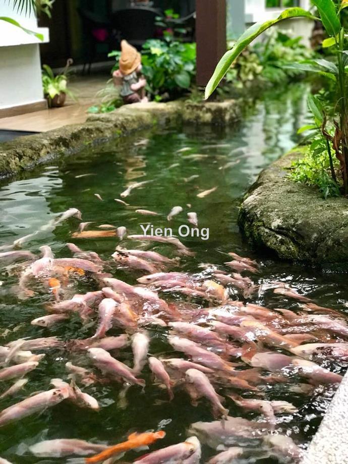 Kondominium untuk Dijual di Ara Hill Condominium oleh Yien Ong - iProperty.com.my