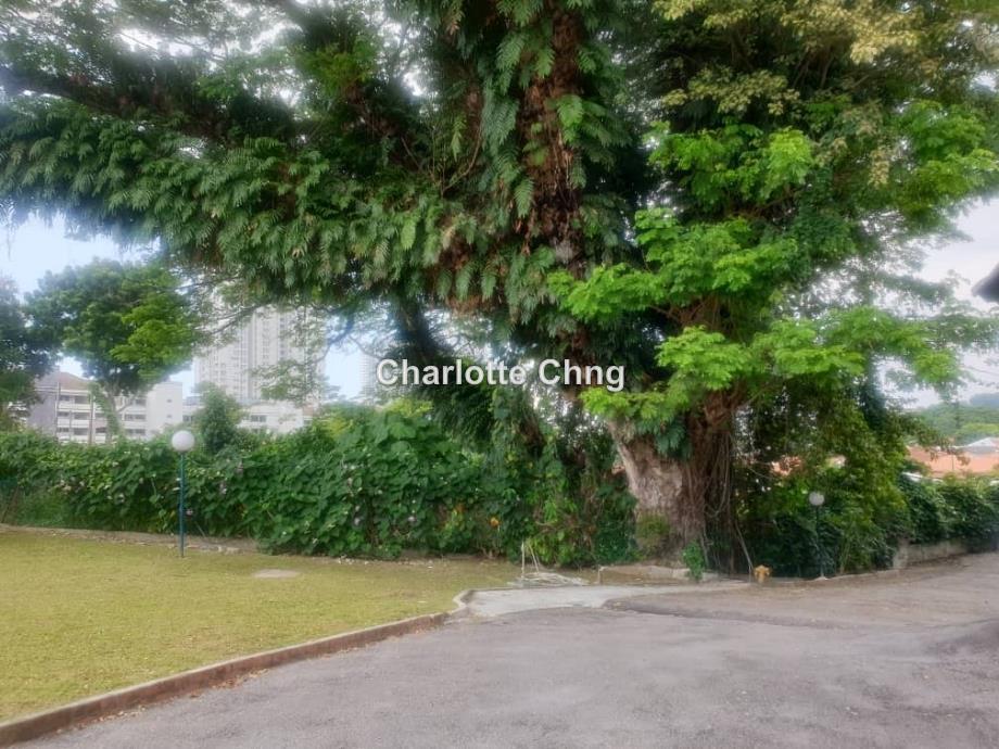 Rumah Bandar untuk Dijual di Tanjung Bungah, Penang oleh Charlotte Chng - iProperty.com.my