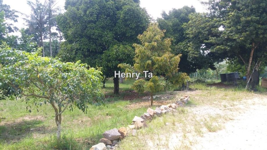 Tanah Pertanian untuk Dijual di Karak, Pahang oleh Henry Ta - iProperty.com.my