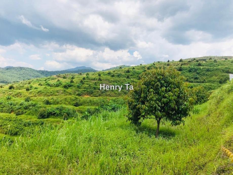 Tanah Pertanian untuk Dijual di Karak, Pahang oleh Henry Ta - iProperty.com.my