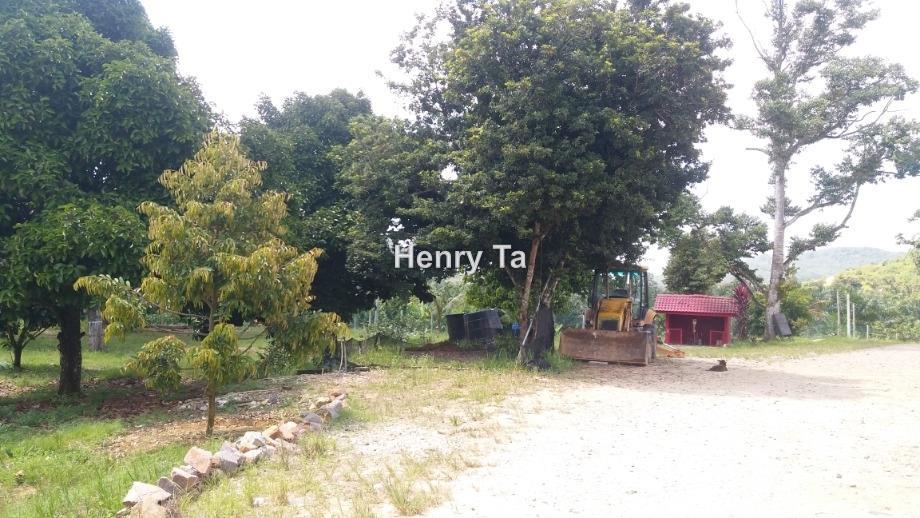 Tanah Pertanian untuk Dijual di Karak, Pahang oleh Henry Ta - iProperty.com.my