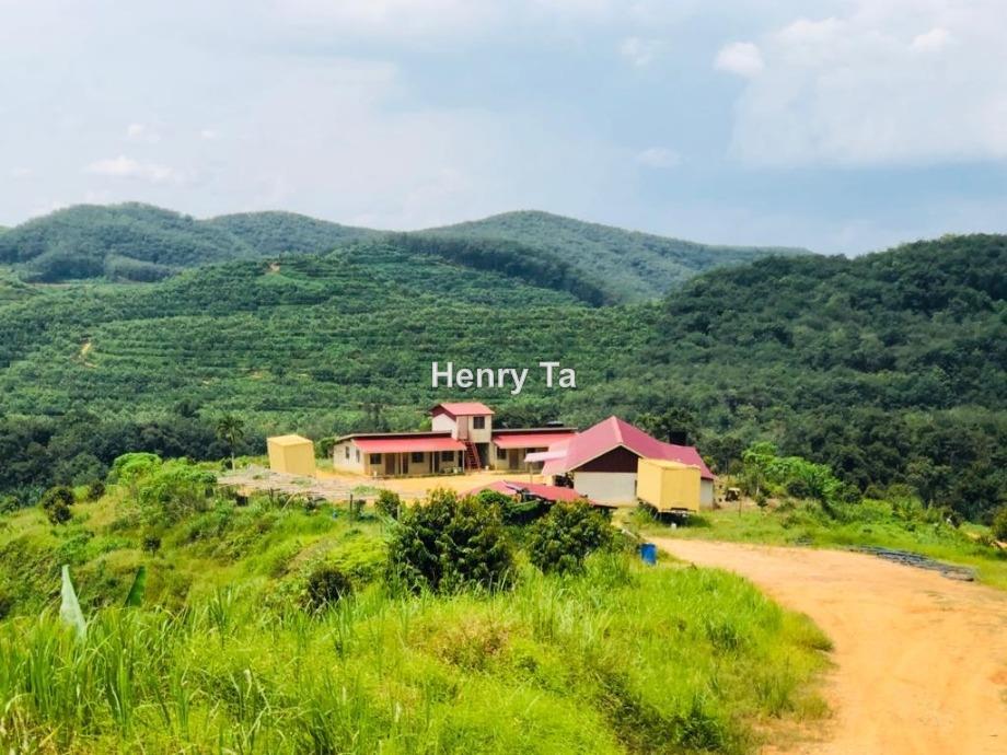 Tanah Pertanian untuk Dijual di Karak, Pahang oleh Henry Ta - iProperty.com.my
