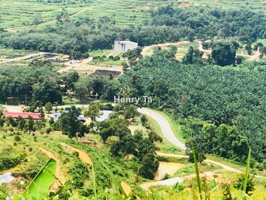 Tanah Pertanian untuk Dijual di Karak, Pahang oleh Henry Ta - iProperty.com.my
