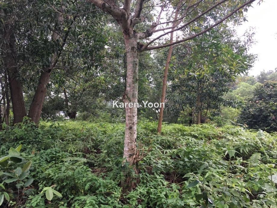 Bungalow Land for Sale in Country Heights Damansara, Kuala Lumpur by Karen Yoon - iProperty.com.my