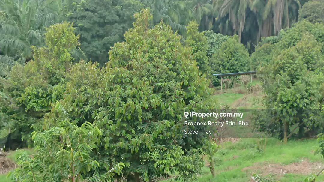 Agricultural Land for Sale in Seremban, Rembau by Steven Tay - iProperty.com.my