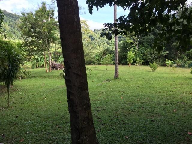 Banglo untuk Dijual di Langkawi, Kuah oleh Intan Faridah - iProperty.com.my