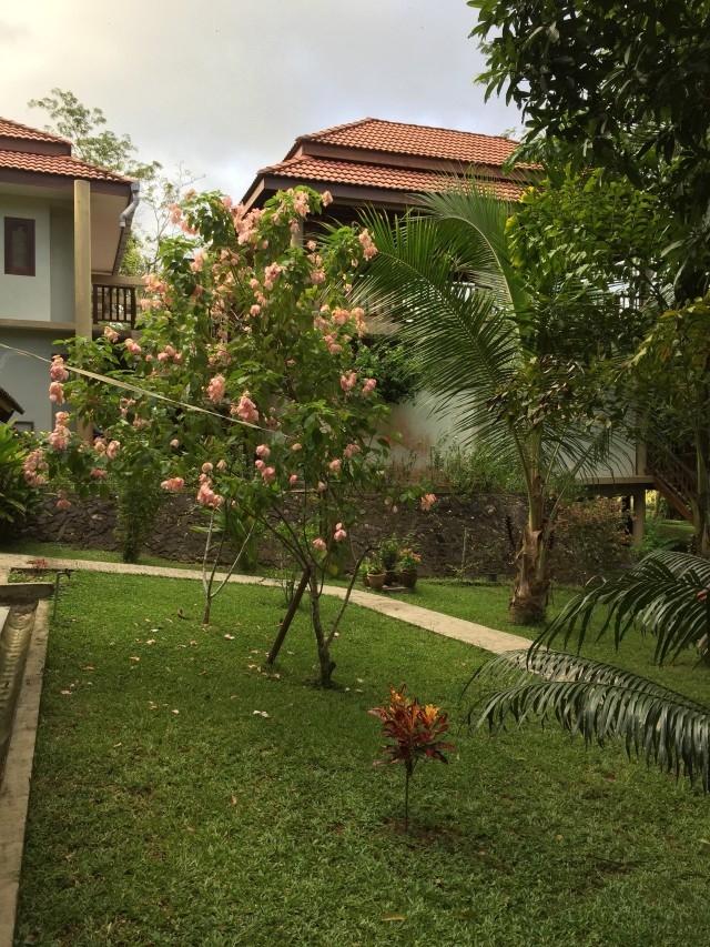 Banglo untuk Dijual di Langkawi, Kuah oleh Intan Faridah - iProperty.com.my