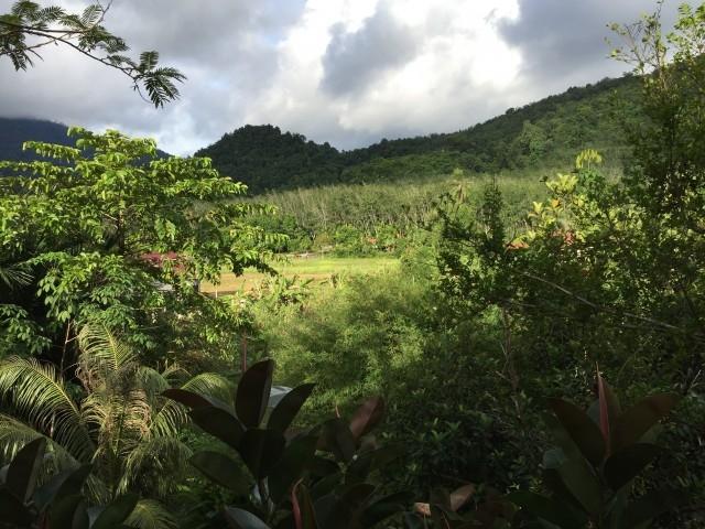 Banglo untuk Dijual di Langkawi, Kuah oleh Intan Faridah - iProperty.com.my