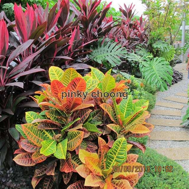 Banglo untuk Dijual di Valencia, Sungai Buloh oleh Pinky Choong - iProperty.com.my