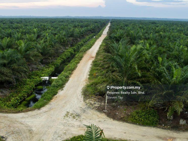 Agricultural Land for Sale in Seremban, Rembau by Steven Tay - iProperty.com.my