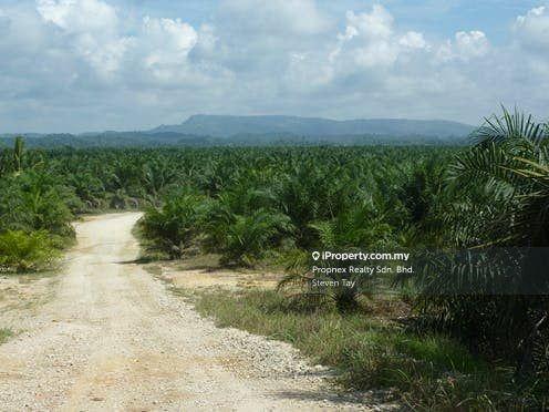 Agricultural Land for Sale in Seremban, Rembau by Steven Tay - iProperty.com.my