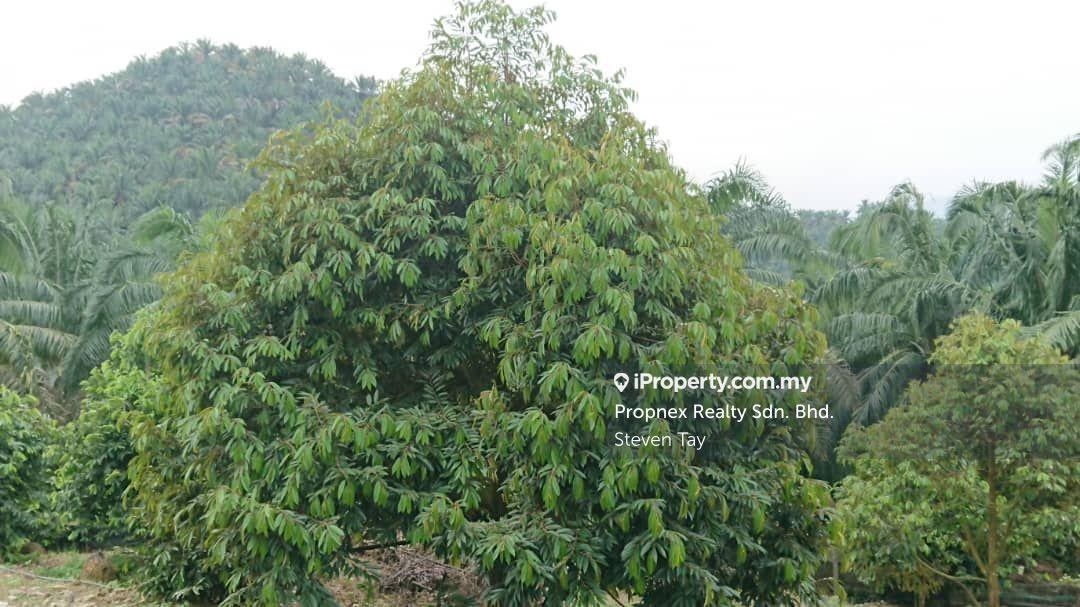 Agricultural Land for Sale in Seremban, Rembau by Steven Tay - iProperty.com.my