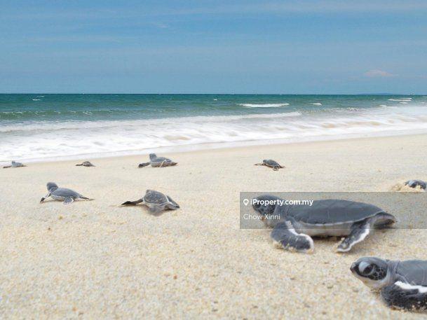 Hotel / Resort for Sale in Pantai Cherating, Cherating, Kuantan, Kuantan by Chow Xinni - iProperty.com.my