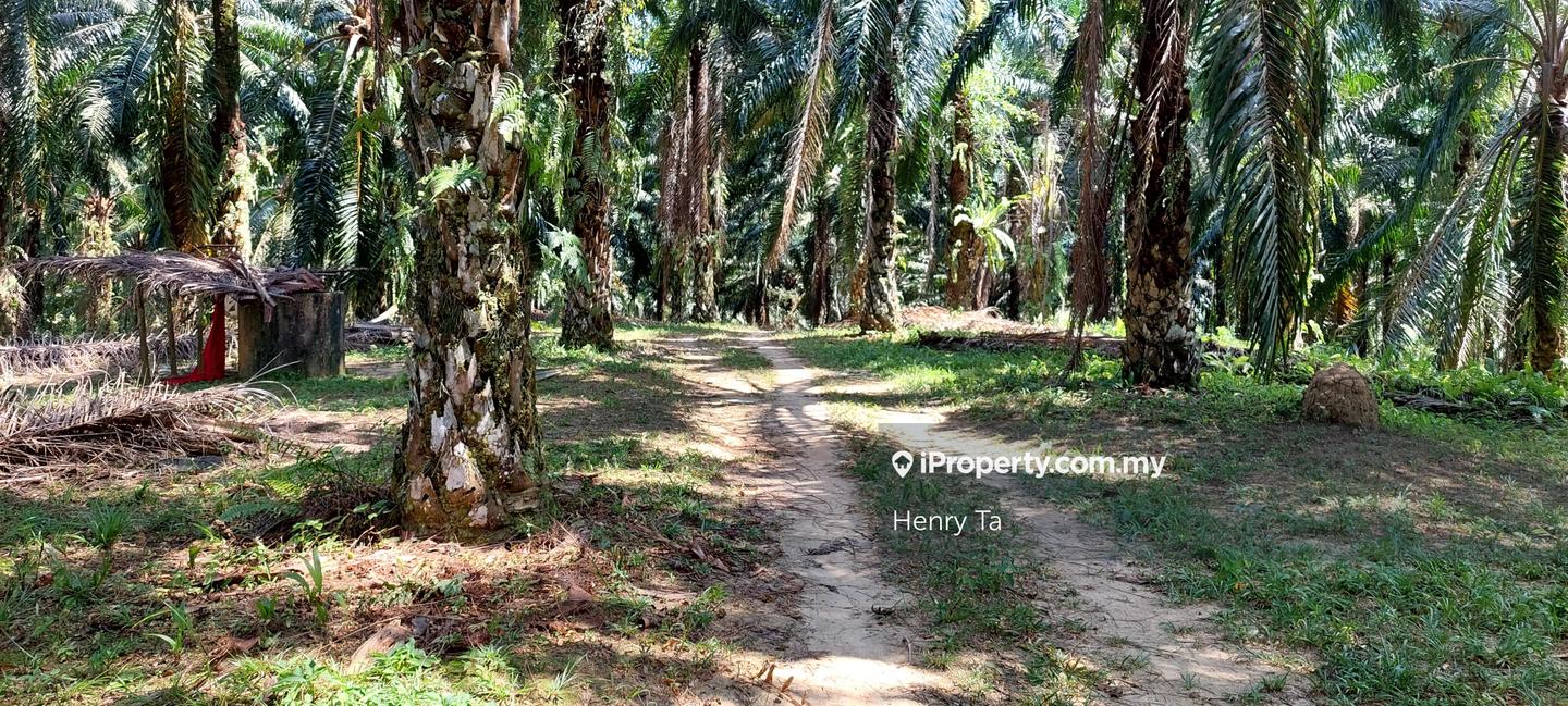 Tanah Perindustrian untuk Dijual di Hulu Semenyih, Semenyih oleh Henry Ta - iProperty.com.my