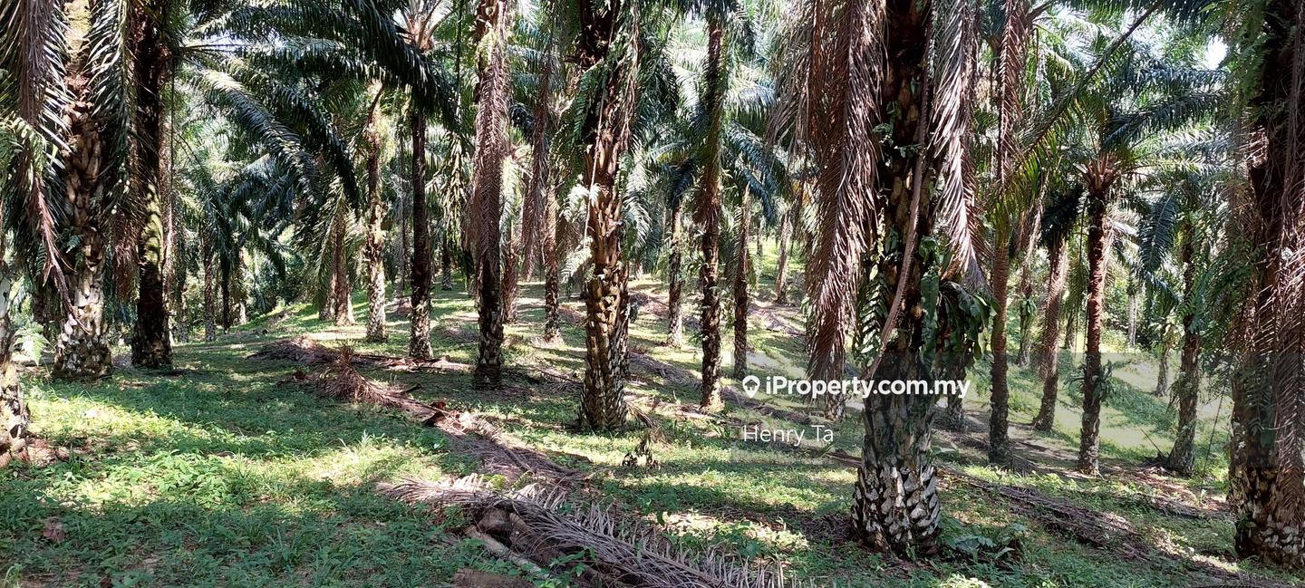 Tanah Perindustrian untuk Dijual di Hulu Semenyih, Semenyih oleh Henry Ta - iProperty.com.my