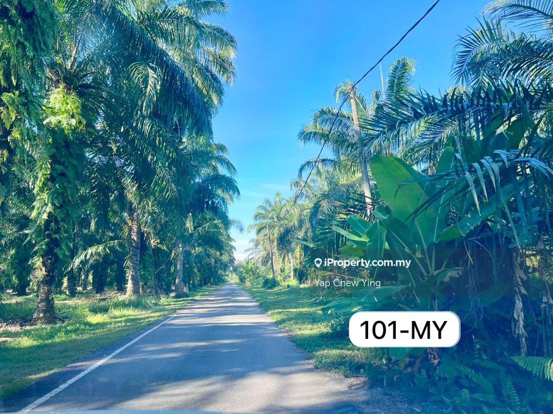 Agricultural Land for Sale in Tanjong Sepat, Sepang, Sepang by Yap Chew Ying - iProperty.com.my