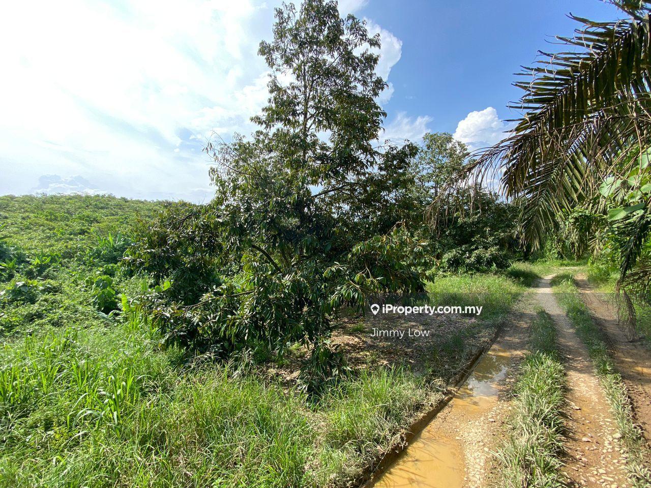 Agricultural Land for Sale in Karak, Pahang by Jimmy Low - iProperty.com.my