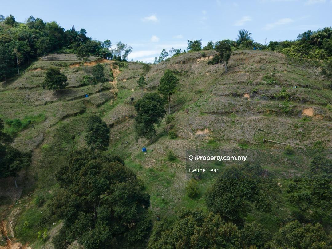 Agricultural Land for Sale in Papar Fruits Farm, Papar by Celine Teah - iProperty.com.my