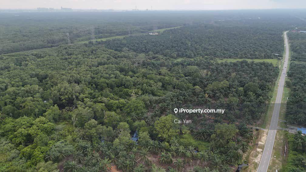 Agricultural Land for Sale in Padang Meha, Kedah by Cai Yan - iProperty.com.my