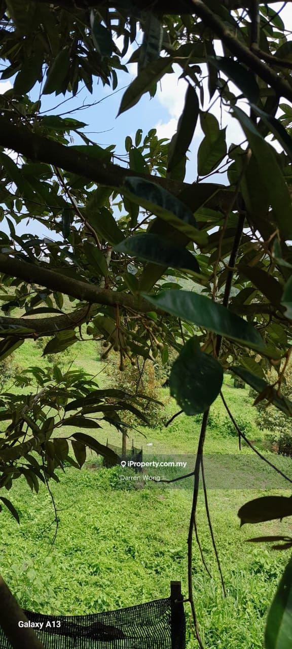 Tanah Pertanian untuk Dijual di Kampung Semerbok, Semerbok oleh Darren Wong - iProperty.com.my