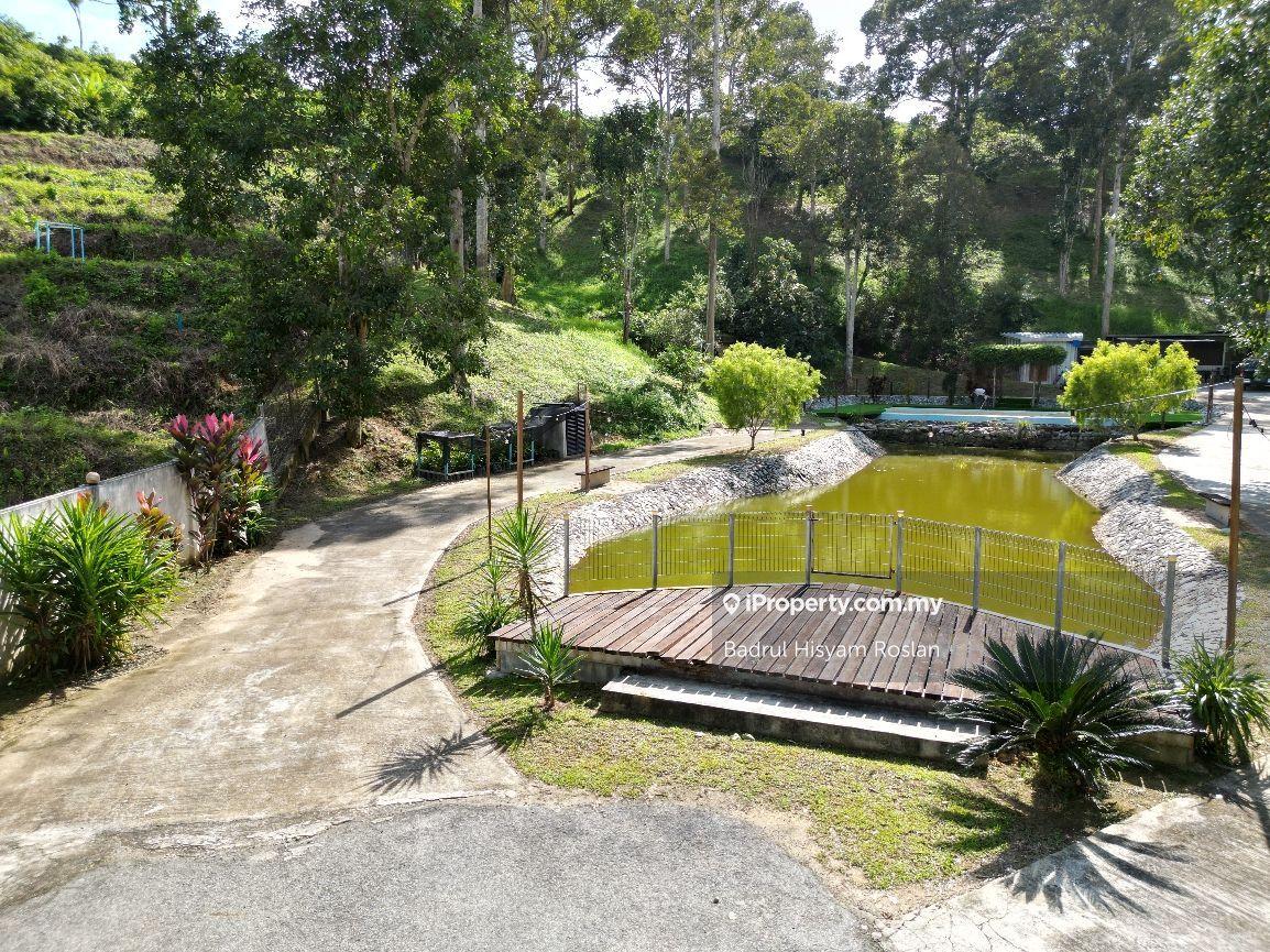 Tanah Pertanian untuk Dijual di Taman Jelebu, Kuala Klawang oleh Badrul Hisyam Roslan - iProperty.com.my