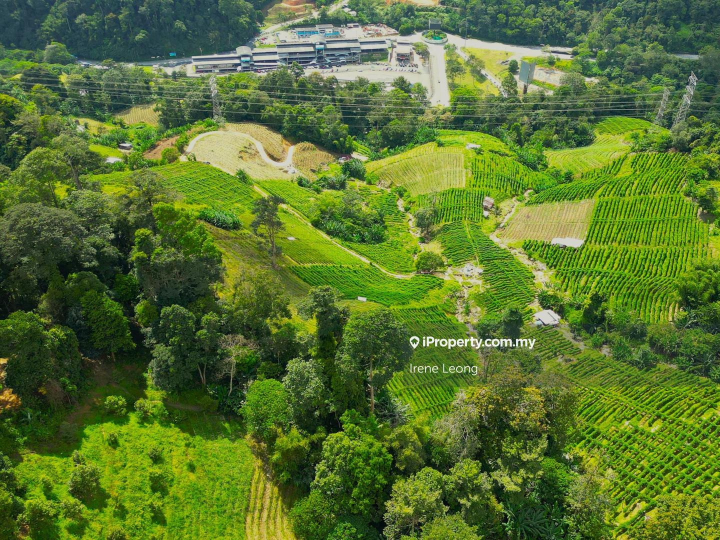 Agricultural Land for Sale in Genting Highlands, Bentong by Irene Leong - iProperty.com.my