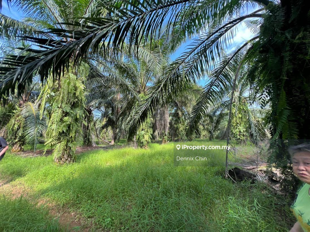 Agricultural Land for Sale in Jeram, Kuala Selangor by Dennix Chin - iProperty.com.my