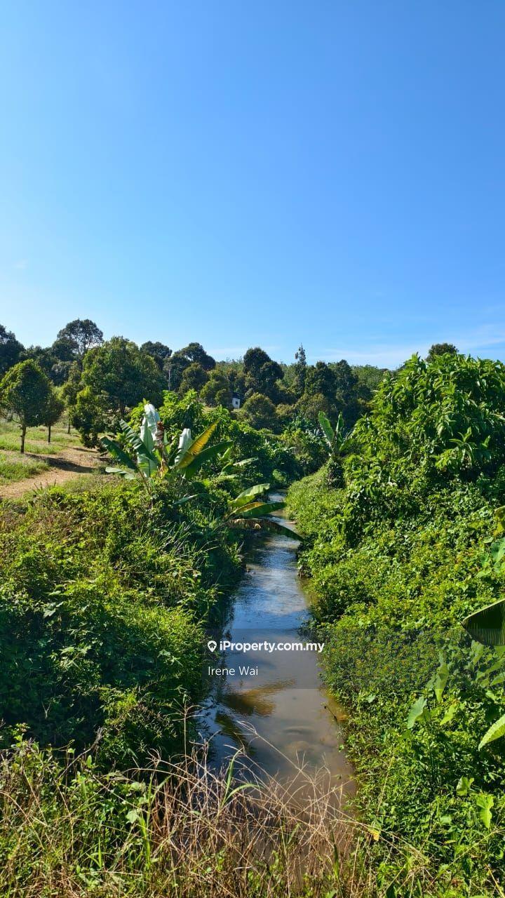 Tanah Pertanian untuk Dijual di Freehold Durian Farm with stream for Sales, Lenggong oleh Irene Wai - iProperty.com.my