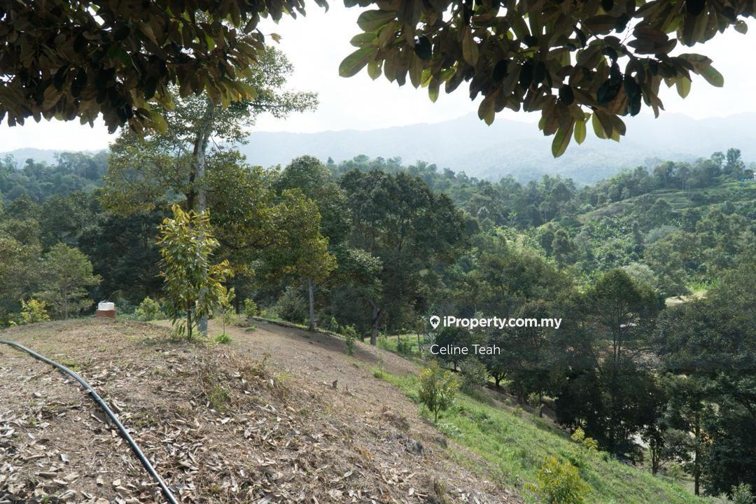 Agricultural Land for Sale in Papar Fruits Farm, Papar by Celine Teah - iProperty.com.my