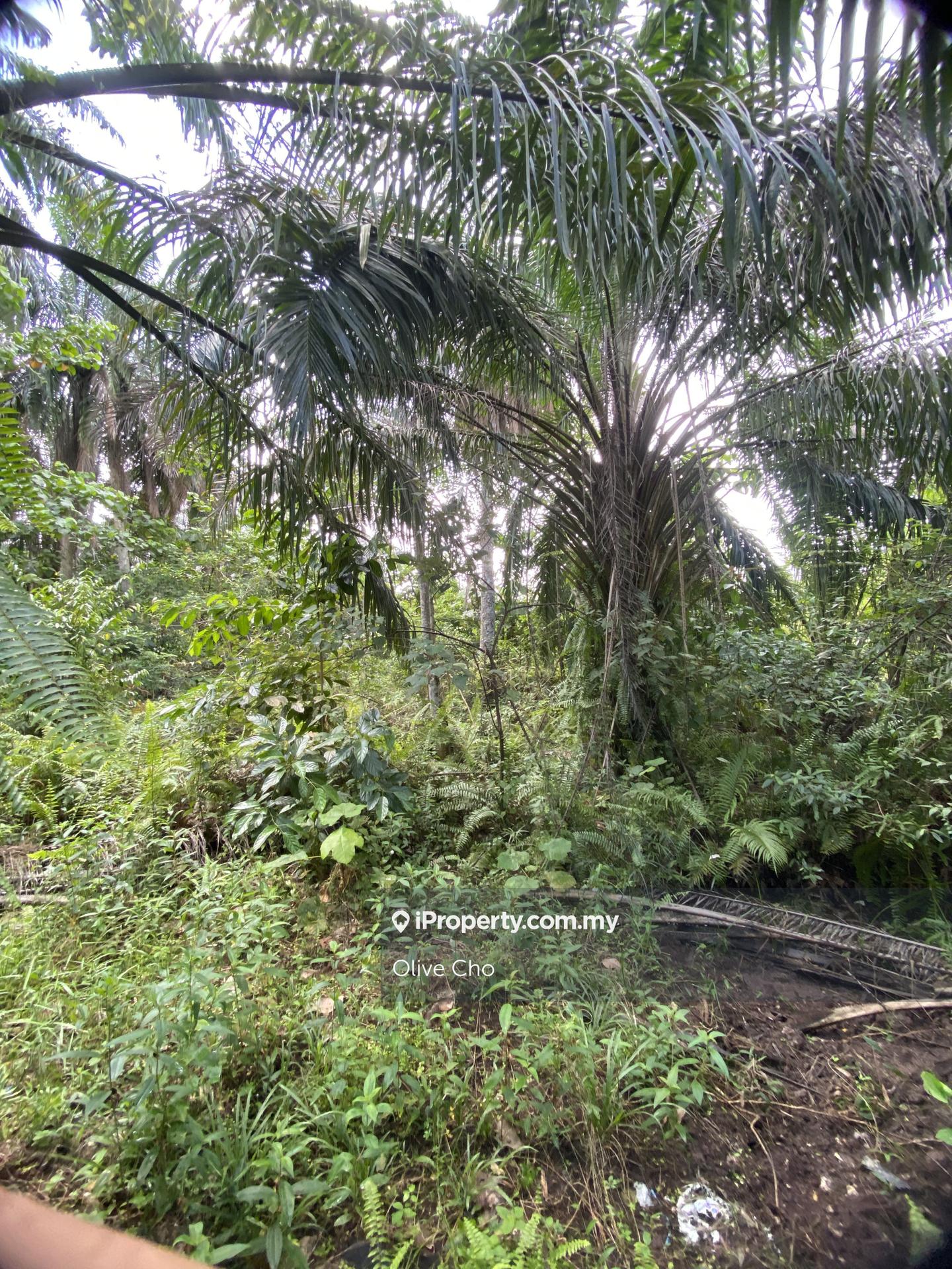 Agricultural Land for Sale in Kapar, Klang by Olive Cho - iProperty.com.my
