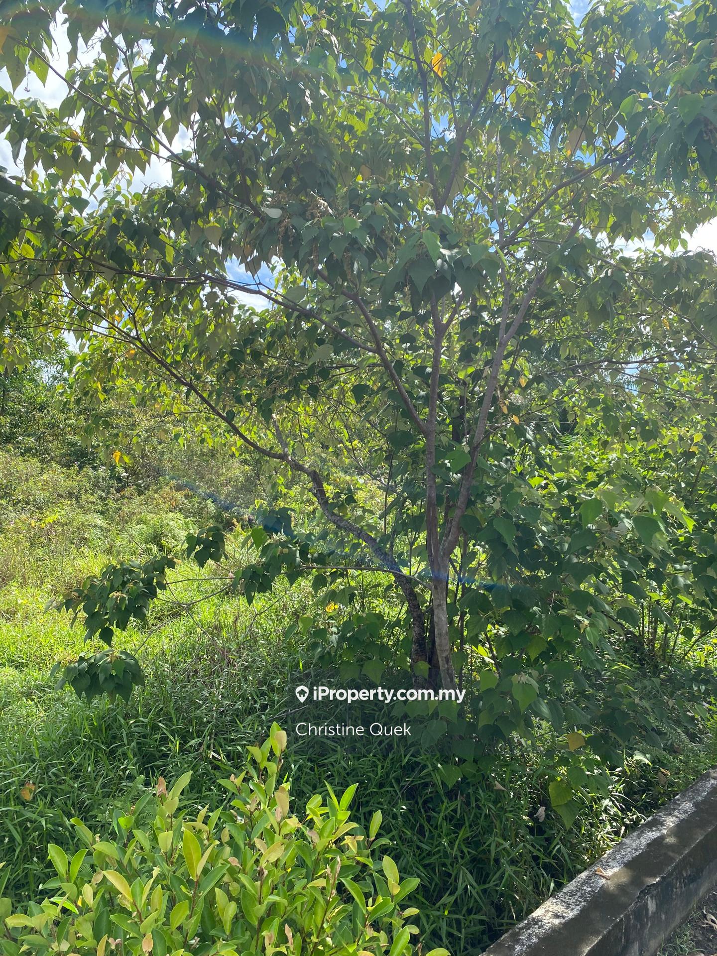 Commercial Land for Rent in Olak Lempit, Banting by Christine Quek - iProperty.com.my