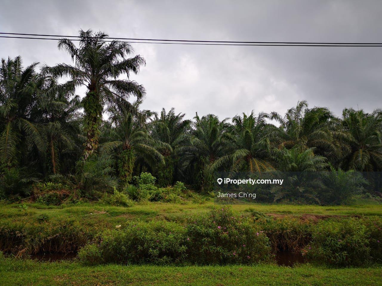 Industrial Land for Sale in rawang, Serendah by James Ch'ng - iProperty.com.my