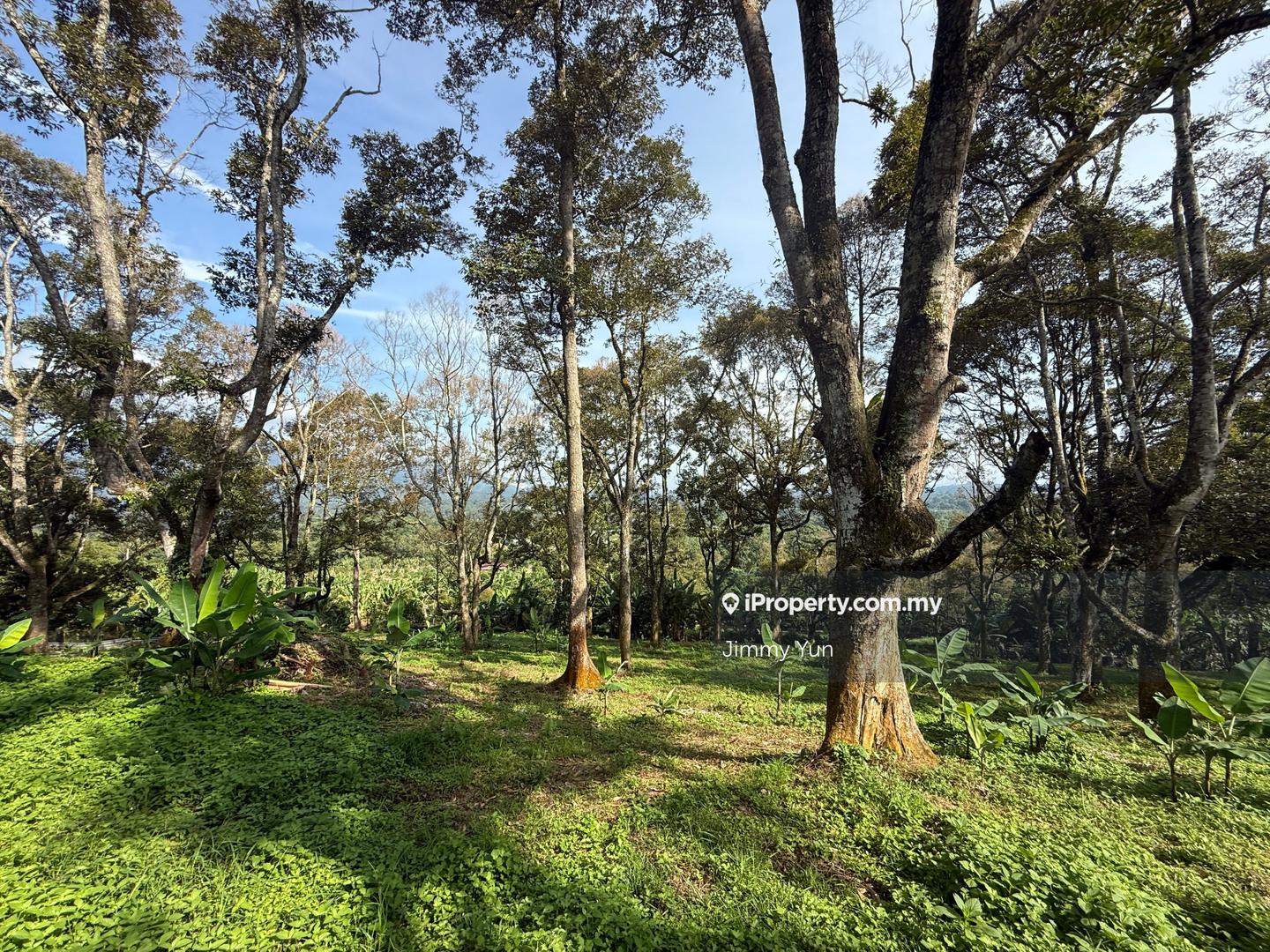 Agricultural Land for Sale in Pekan Mantin, Mantin by Jimmy Yun - iProperty.com.my