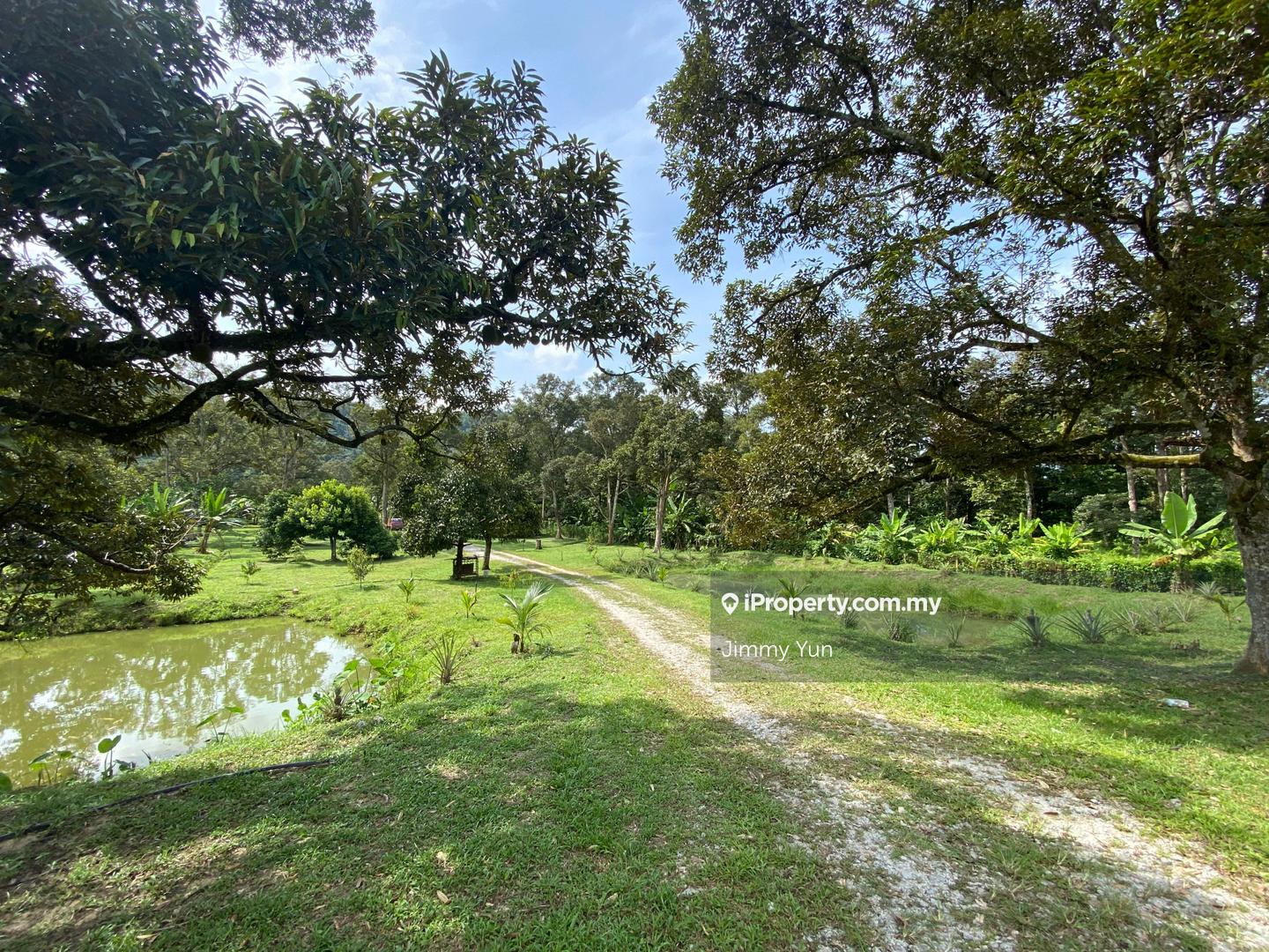 Agricultural Land for Sale in Broga agriculture land, Beranang by Jimmy Yun - iProperty.com.my
