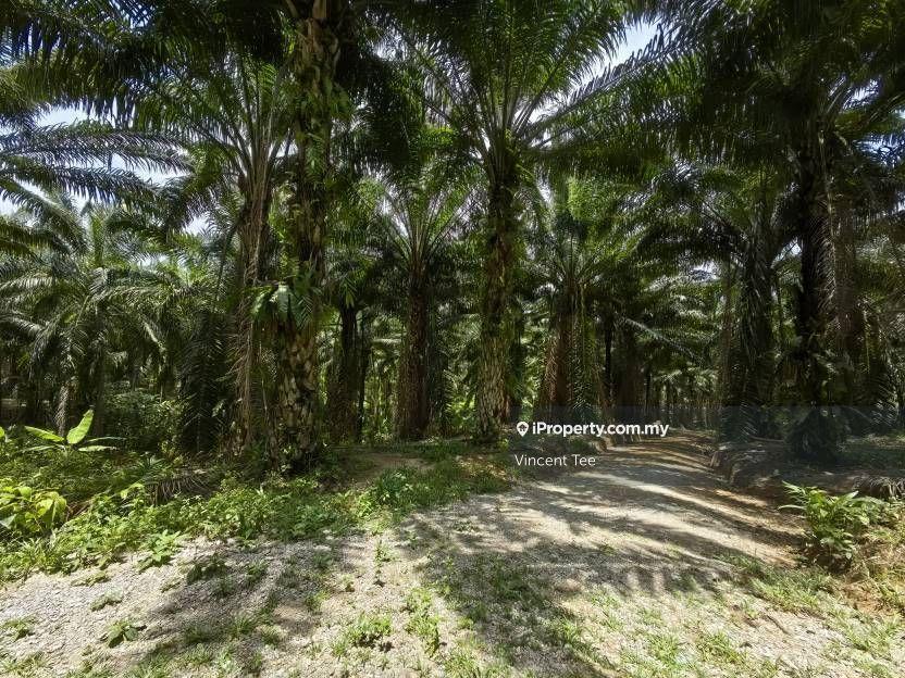 Agricultural Land for Sale in Taman Jelebu, Kuala Klawang by Vincent Tee - iProperty.com.my