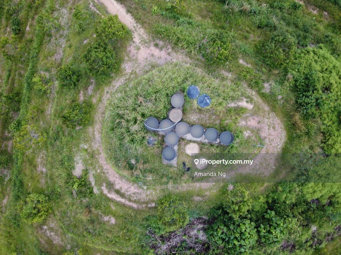 Agricultural Land for Sale in Kuala Lipis mukim penjom, Kuala Lipis by Amanda Ng - iProperty.com.my