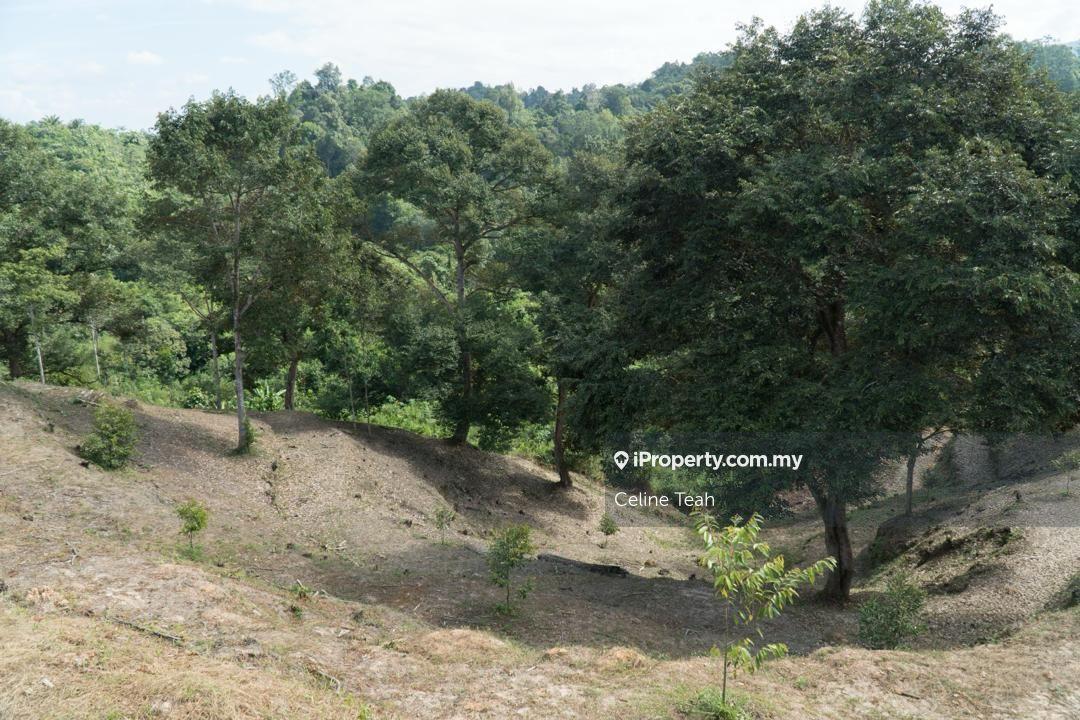 Agricultural Land for Sale in Papar Fruits Farm, Papar by Celine Teah - iProperty.com.my